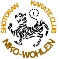 Шотокан карате клуб Нико Волен